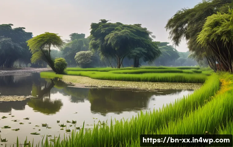 শহুরে পুনর্জীবনে জীববৈচিত্র্য বৃদ্ধির ৭টি কার্যকর উপায় যা আপনাকে অবাক করবে 4 도시재생에서의 생물 다양성 증진 방안 관련 이미지 2